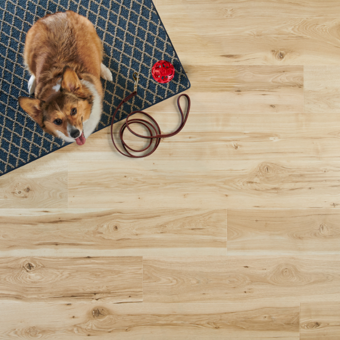 flooring in ingersoll